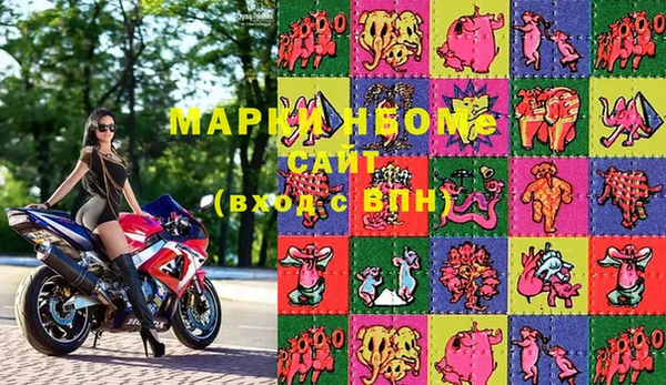 индика Пестово